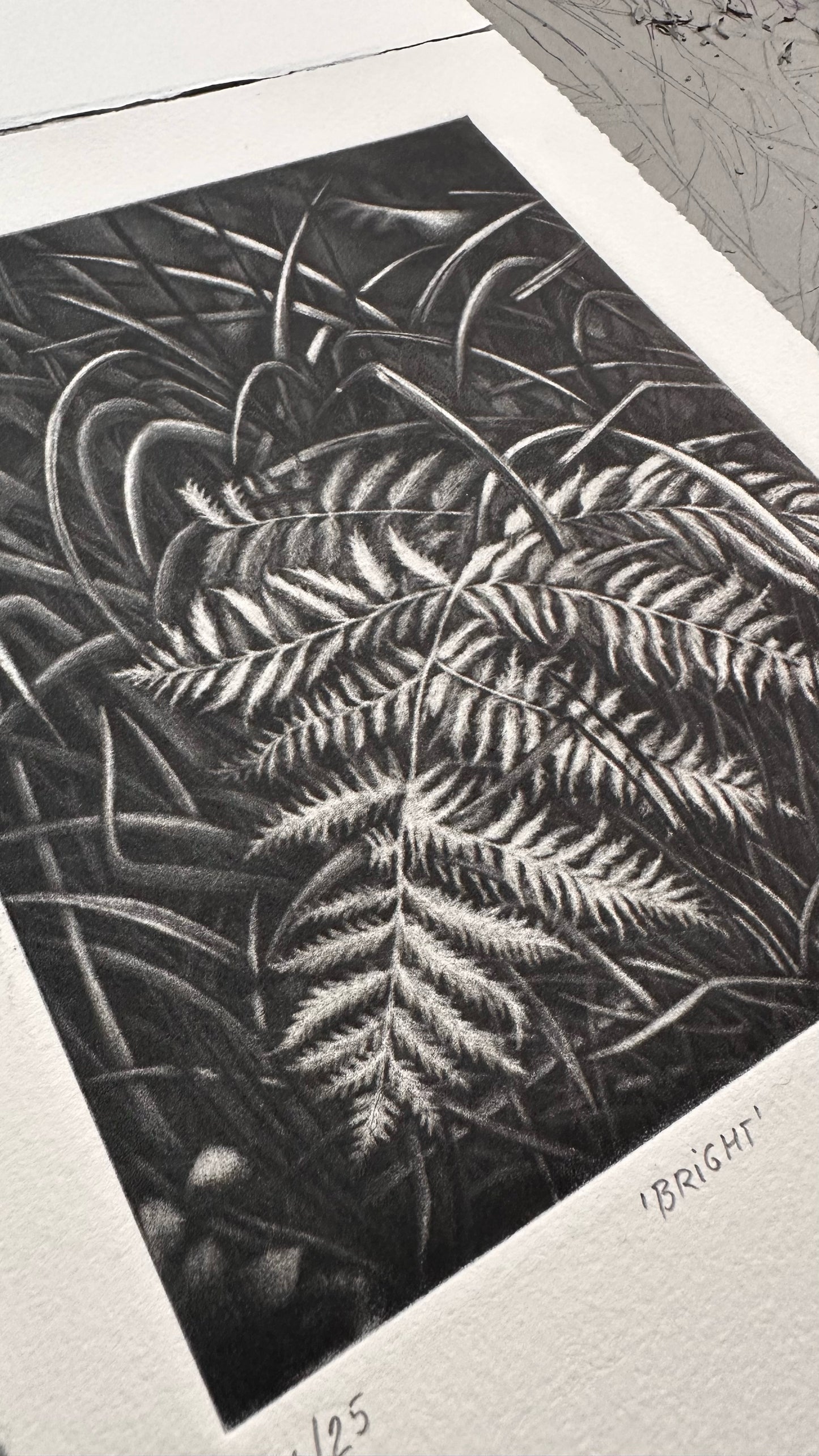 Bright 21x29 cm / MEZZOTINT Etching