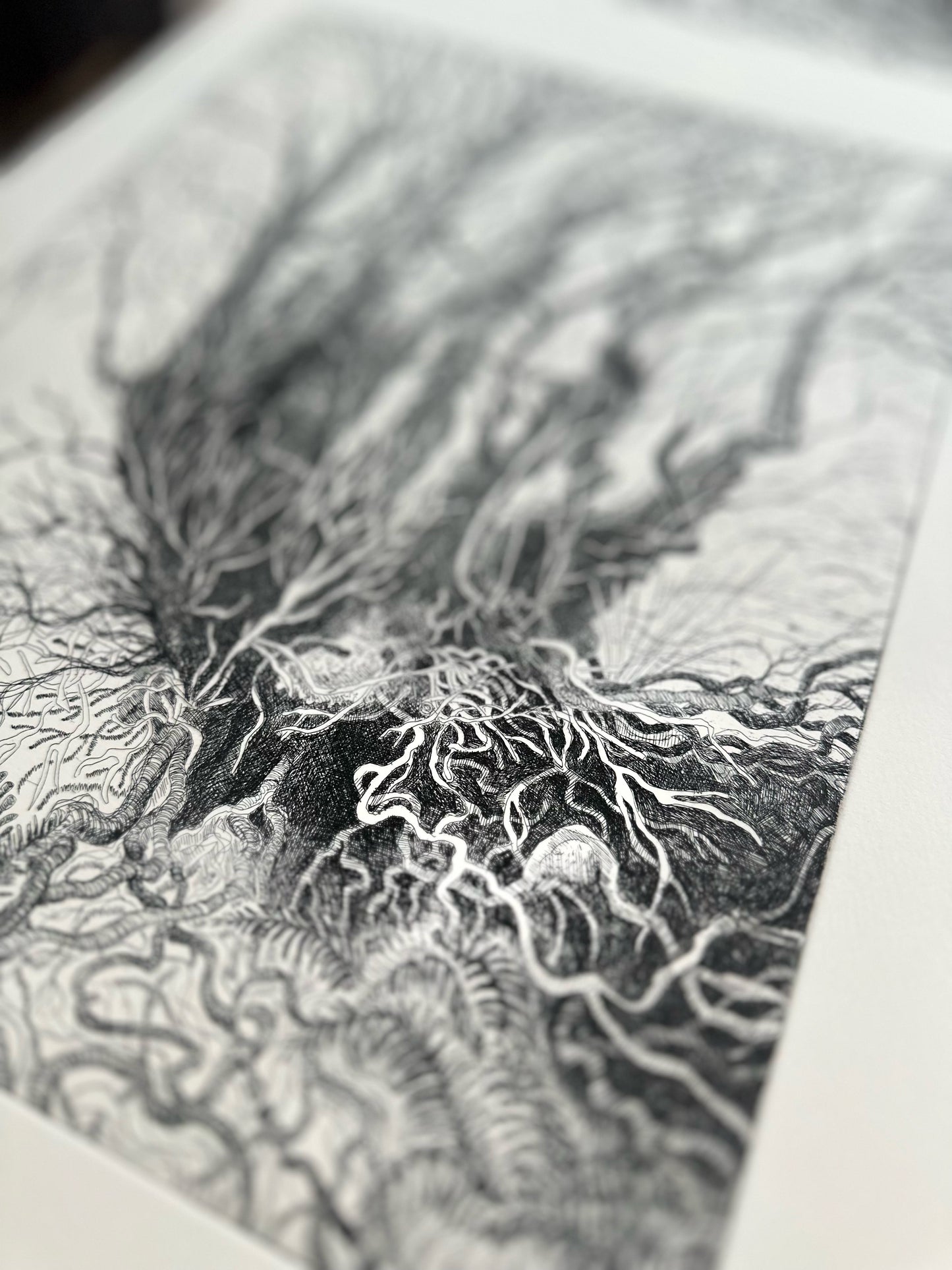 Rooted / Etching / 38x57cm
