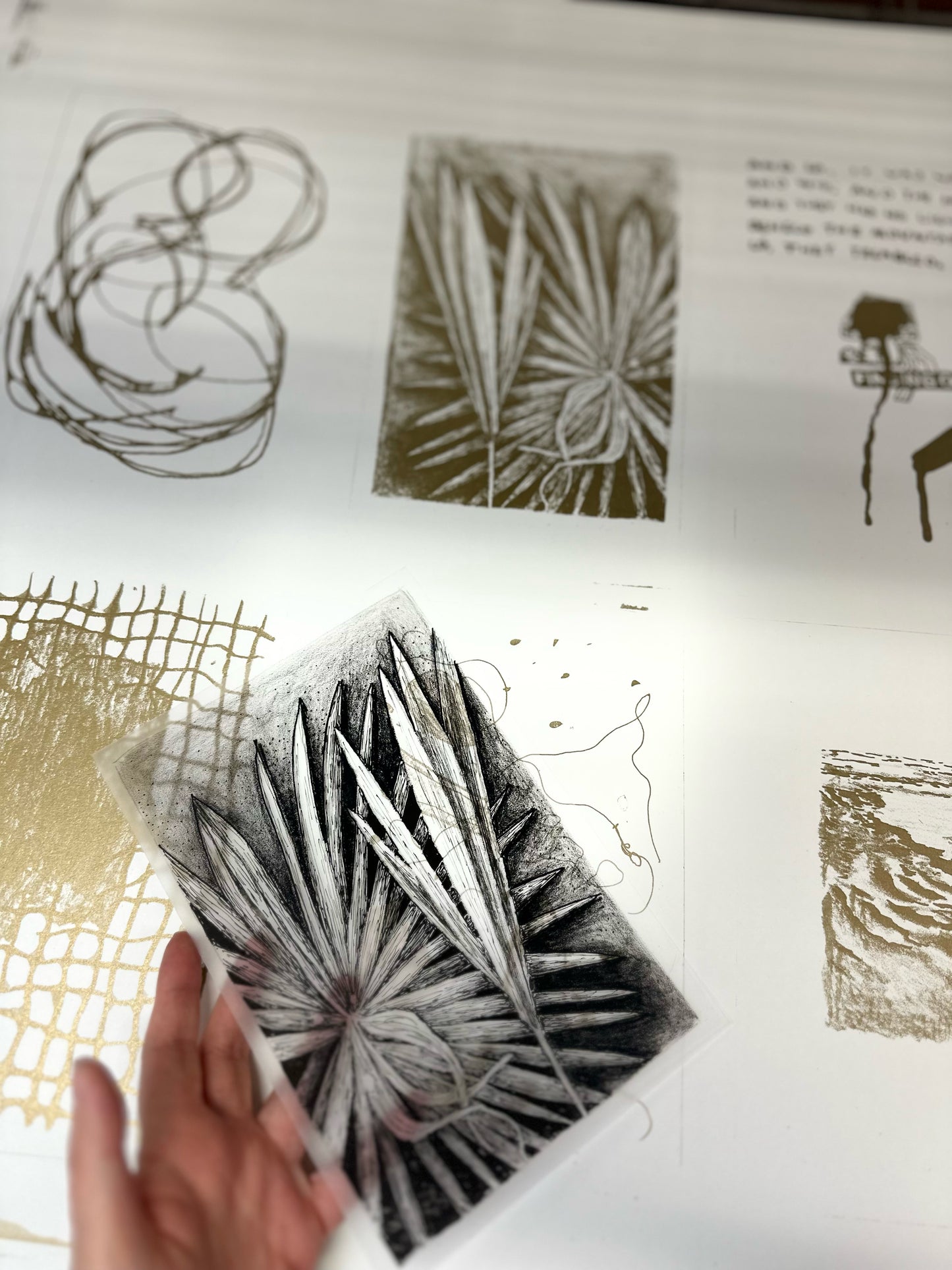 Palm/ Lithography / 17x23 cm