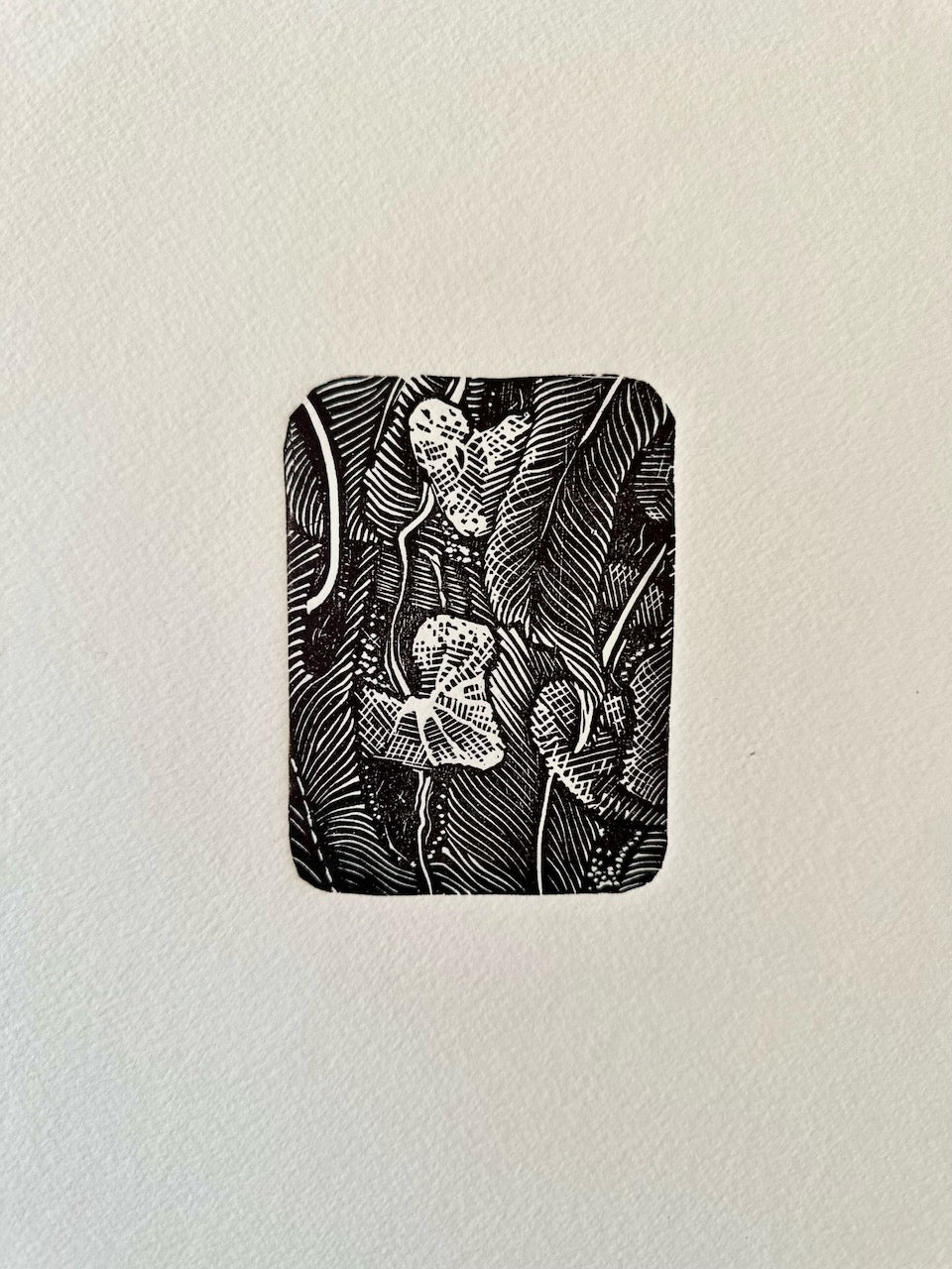 Botanical MINI prints / 20x25 cm