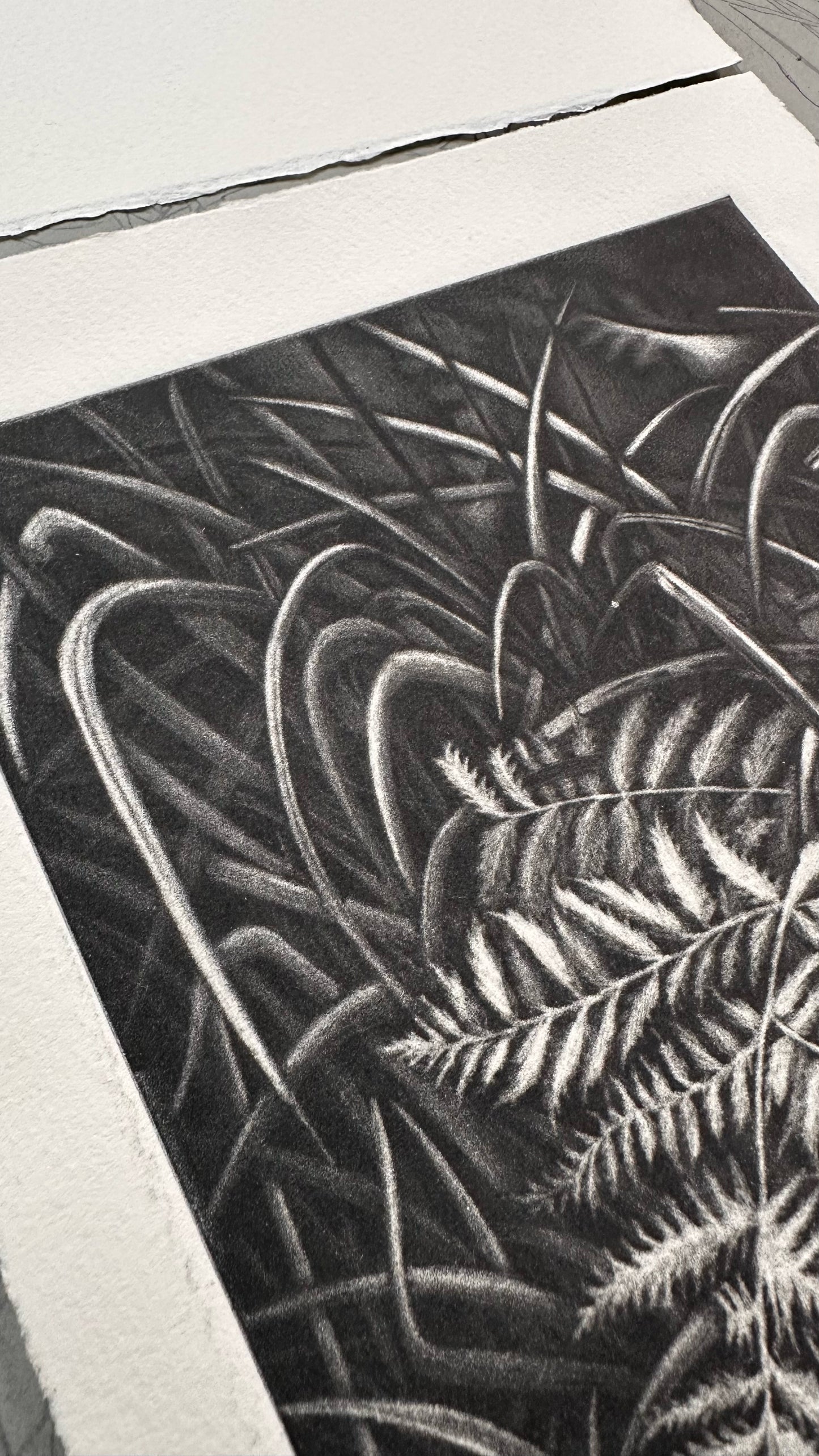 Bright 21x29 cm / MEZZOTINT Etching