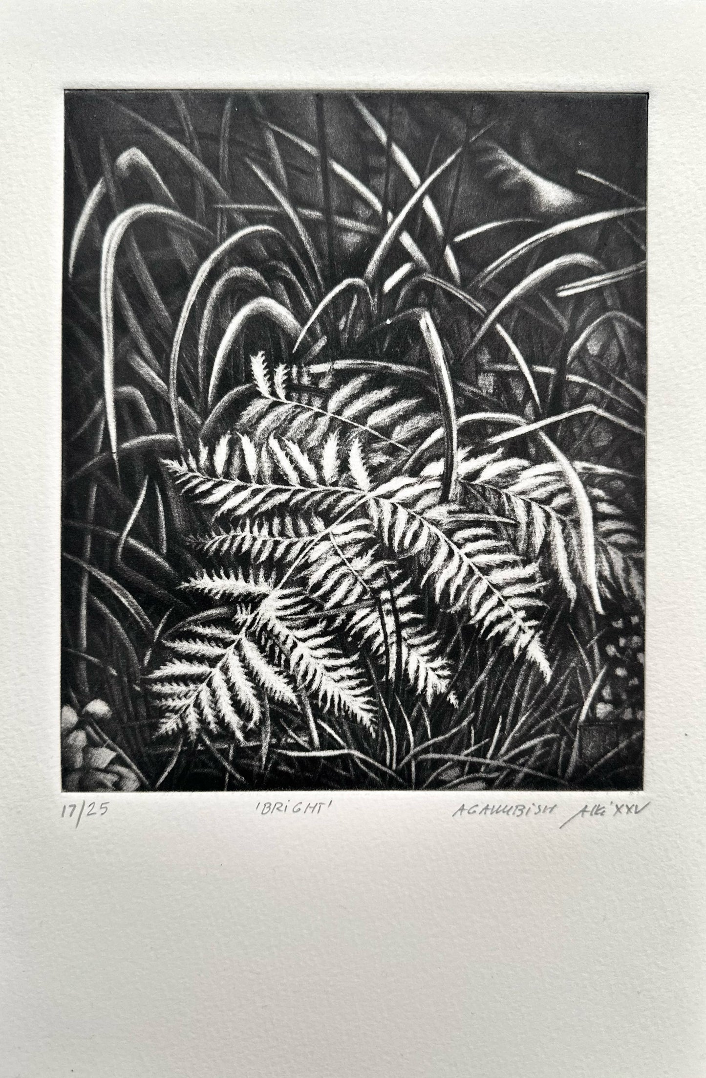 Bright 21x29 cm / MEZZOTINT Etching