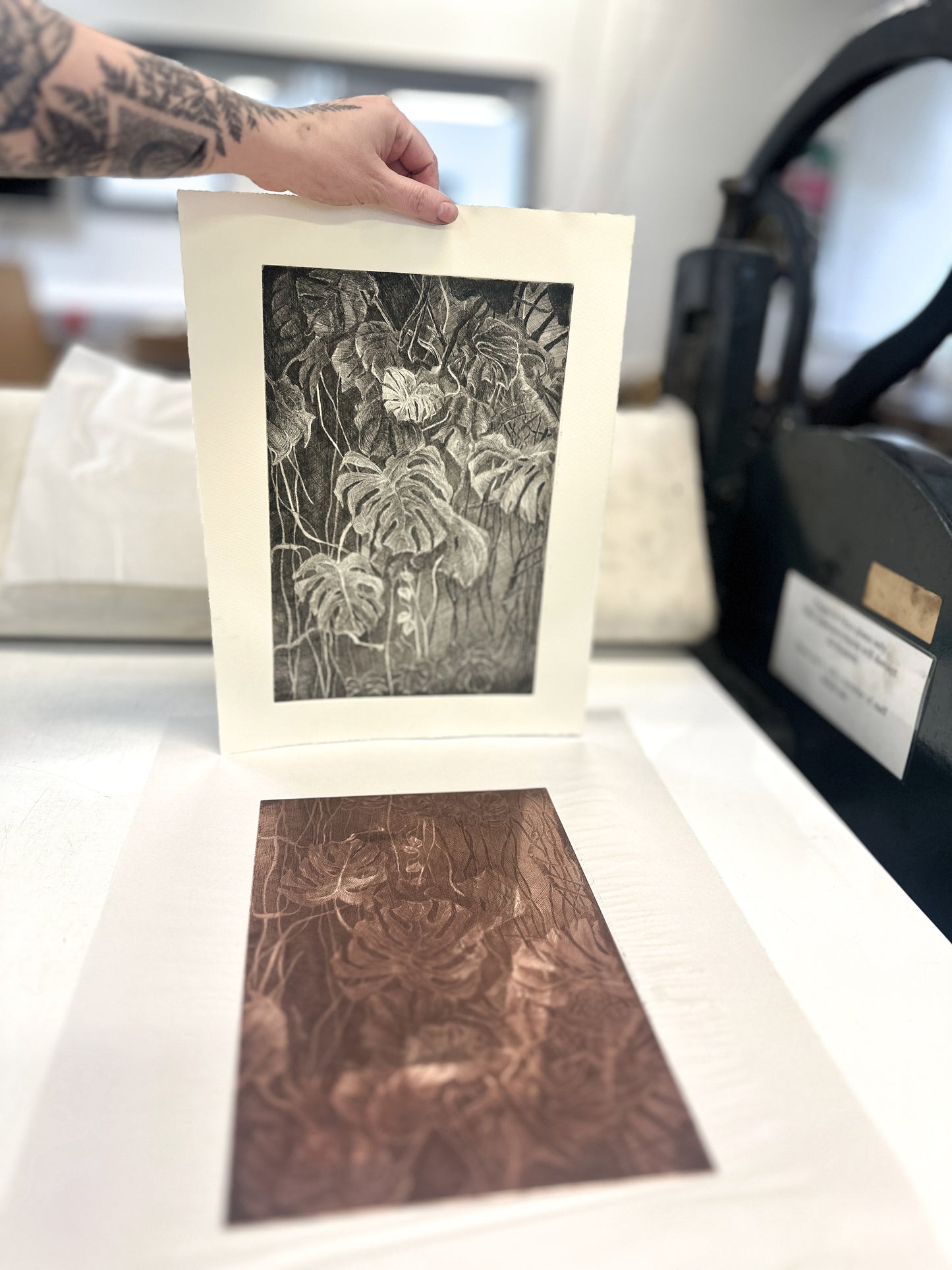Monstera / Etching / 28x38cm