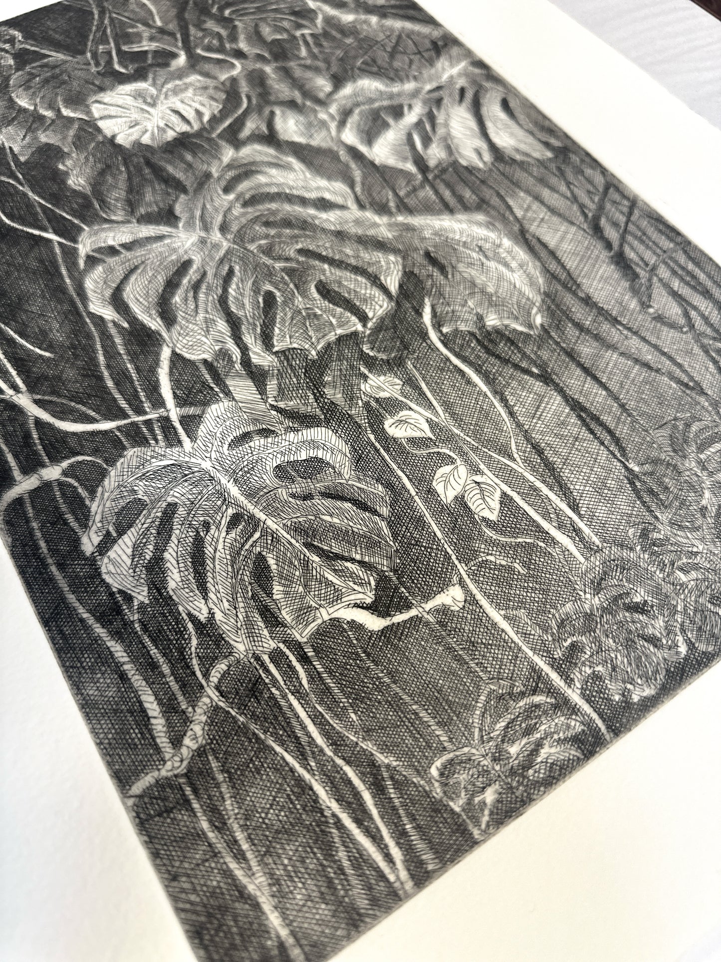 Monstera / Etching / 28x38cm