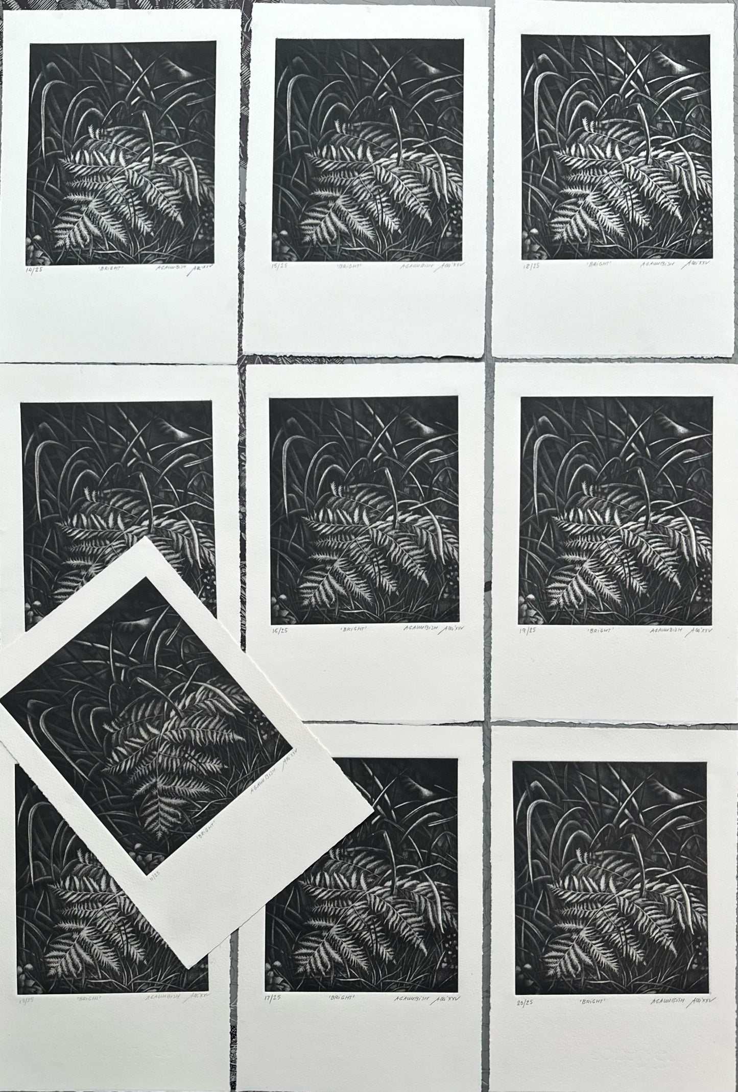 Bright 21x29 cm / MEZZOTINT Etching