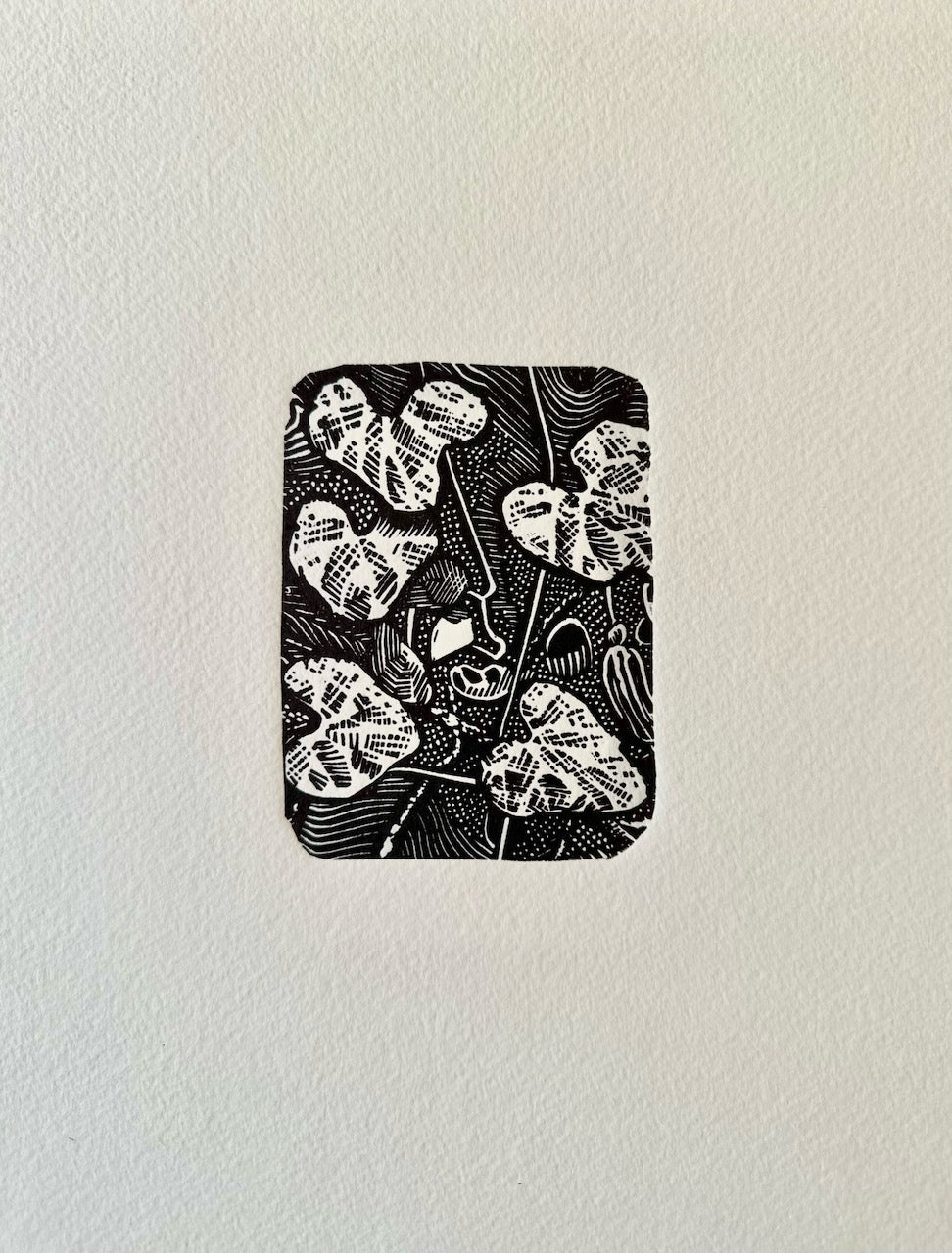Botanical MINI prints / 20x25 cm